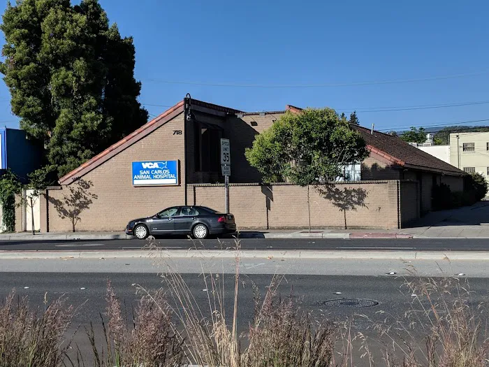 VCA San Carlos Animal Hospital Picture 10