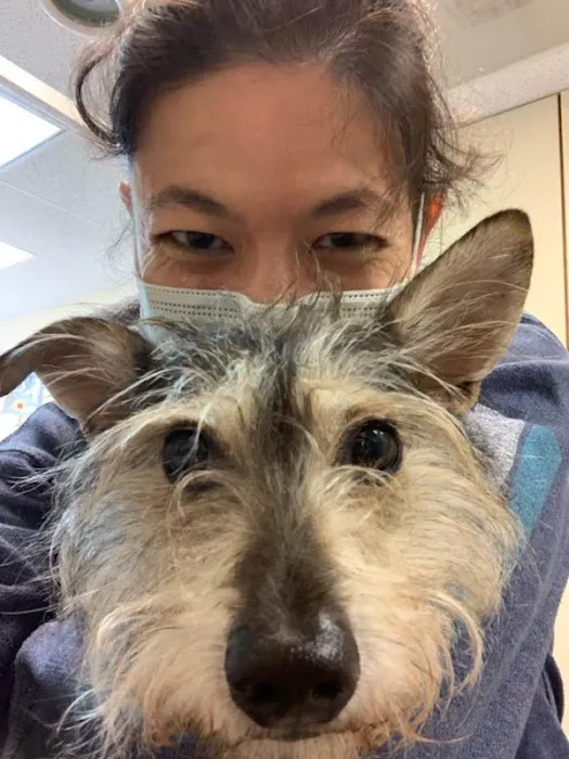 Animal Dental Clinic Picture 2