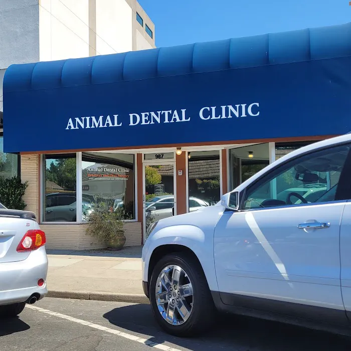 Animal Dental Clinic Picture 3
