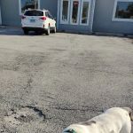 County Line Pet Hospital