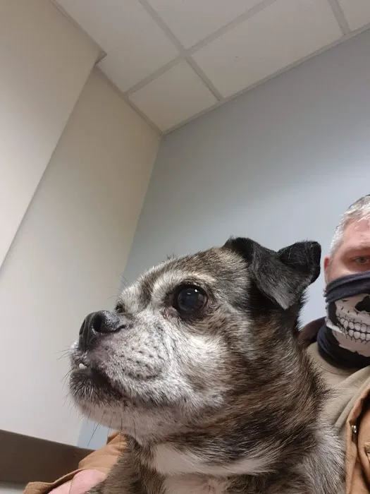 County Line Pet Hospital Picture 9