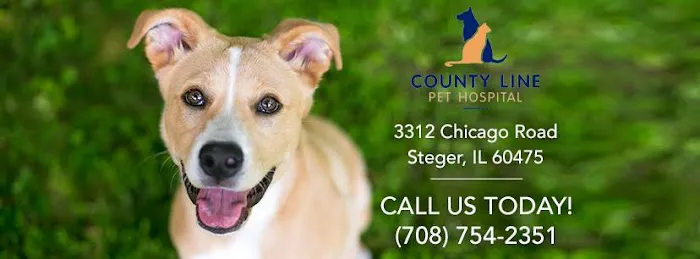 County Line Pet Hospital Picture 7