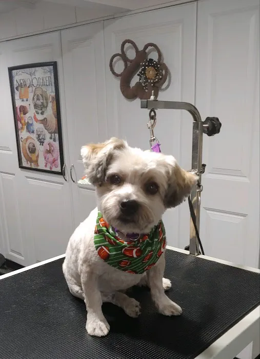 Glen Park Animal Hospital Picture 4