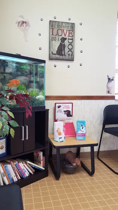 Merrillville Animal Hospital - Dr. Alicia Gustafson DVM Picture 6