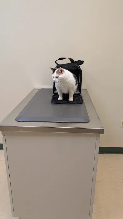Advanced Animal Medical - A Full Service Pet Hospital Picture 2