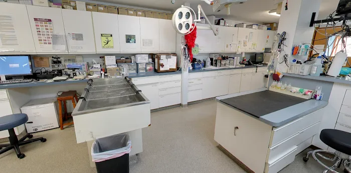 Pet Vet Partners Picture 6