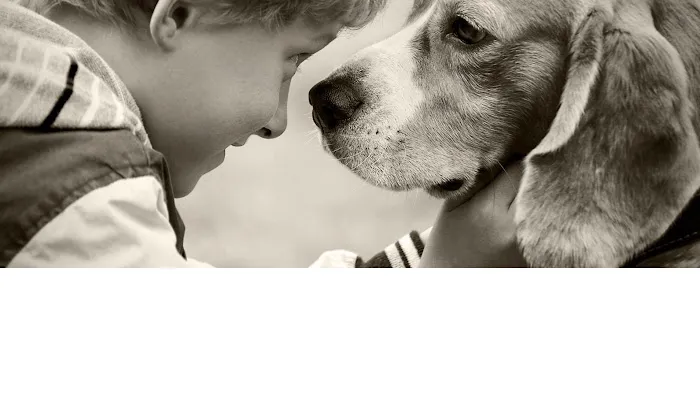 Plum Creek Regional Animal Medical Center Picture 5