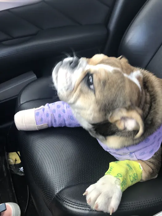 Crossroads Animal Hospital Picture 2