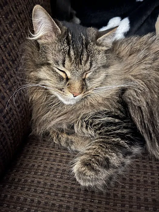 Crossroads Animal Hospital Picture 1