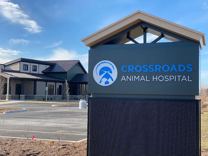 Crossroads Animal Hospital Picture 6
