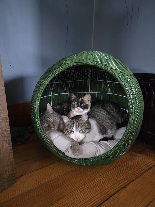 Crossroads Animal Hospital Picture 4