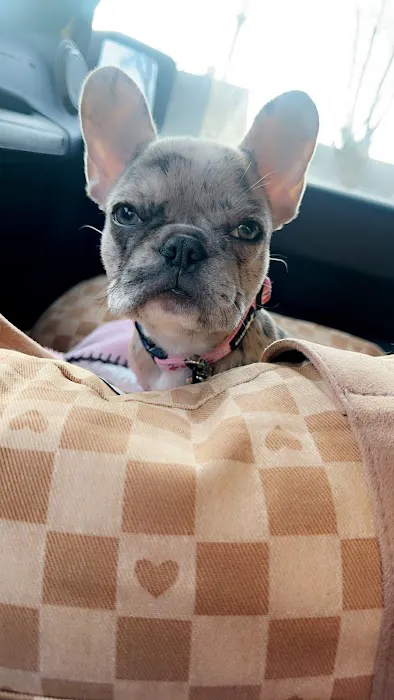 Crossroads Animal Hospital Picture 10