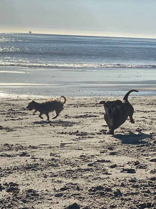 Crossroads Animal Hospital Picture 8