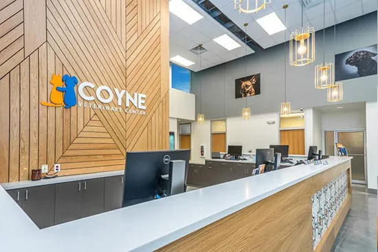 Coyne Veterinary Center - St. John Picture 5