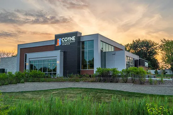Coyne Veterinary Center - St. John Picture 2