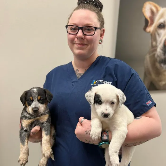 Coyne Veterinary Center - St. John Picture 6