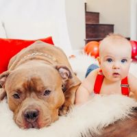 Coyne Veterinary Center - St. John ico