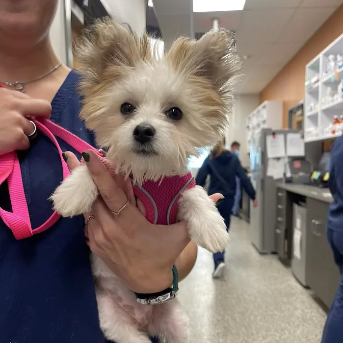 Coyne Veterinary Center - St. John Picture 3
