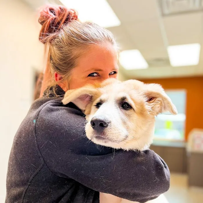 Coyne Veterinary Center - St. John Picture 7