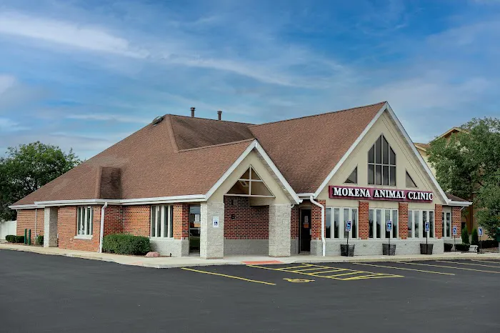 Mokena Animal Clinic Picture 1
