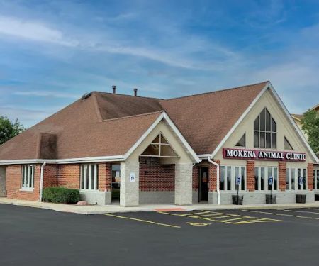 Mokena Animal Clinic