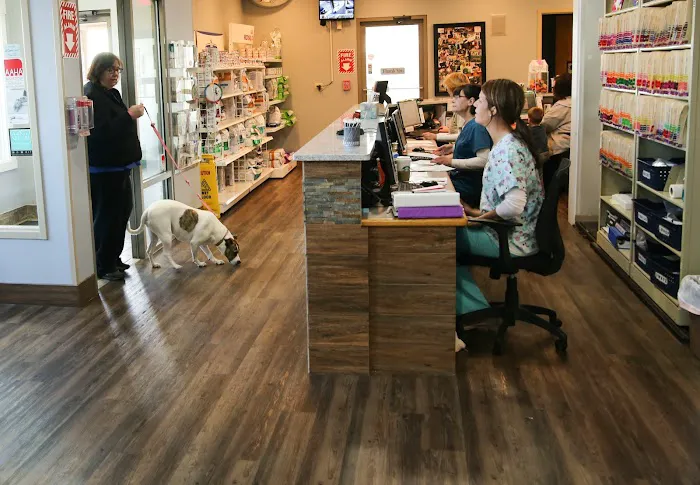 Mokena Animal Clinic Picture 2