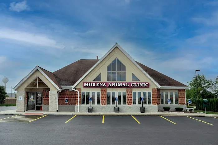 Mokena Animal Clinic Picture 6