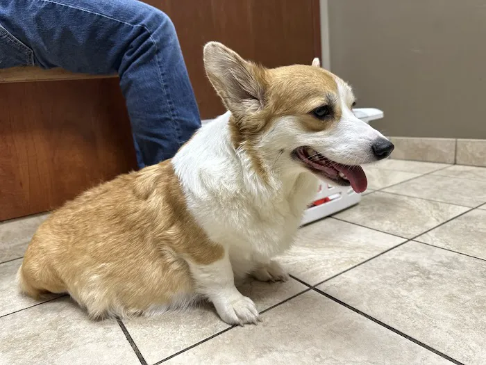 Midwest Animal Hospital Picture 1