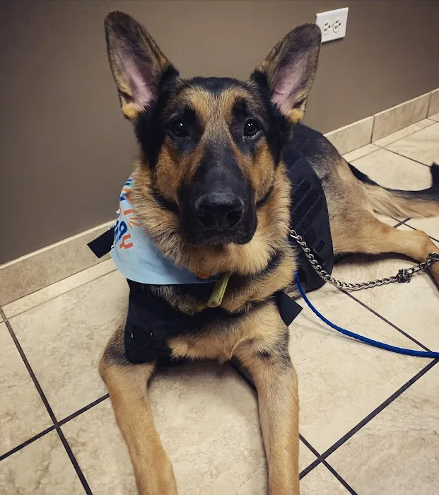 Midwest Animal Hospital Picture 2