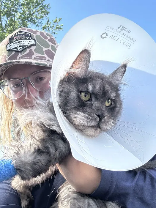 Midwest Animal Hospital Picture 5