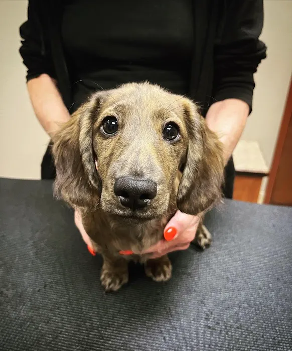 Midwest Animal Hospital Picture 8