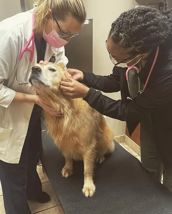 Midwest Animal Hospital Picture 9