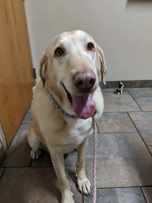 Frankfort Animal Care Center Picture 2
