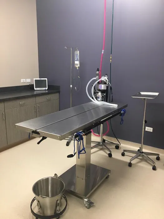 Grace Veterinary Center Picture 1