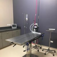 Grace Veterinary Center ico