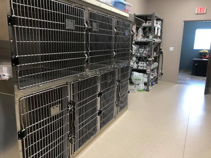 Grace Veterinary Center Picture 2