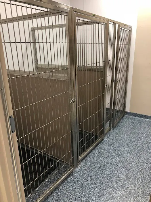 Grace Veterinary Center Picture 7