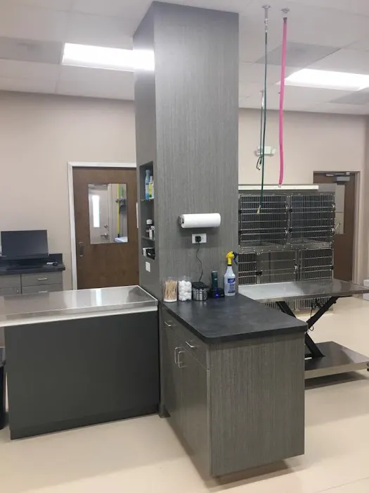 Grace Veterinary Center Picture 8