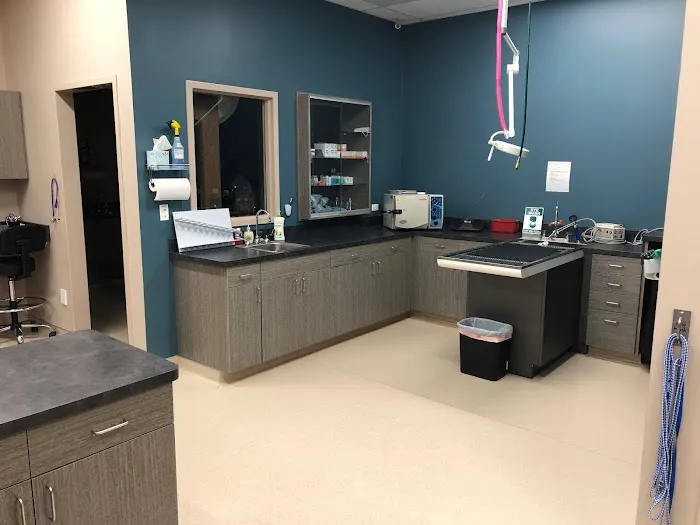 Grace Veterinary Center Picture 9