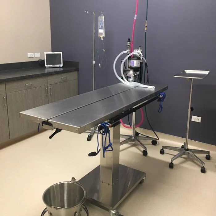 Grace Veterinary Center (formerly Nighthawk Veterinary Clinic) - Michael Wilson, DVM Picture 4