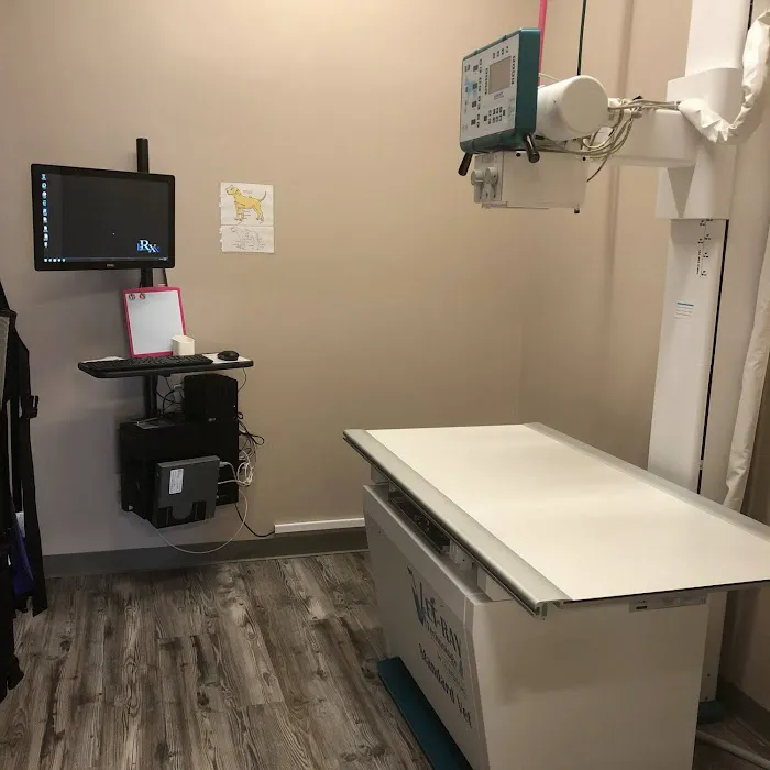 Grace Veterinary Center (formerly Nighthawk Veterinary Clinic) - Michael Wilson, DVM Picture 2