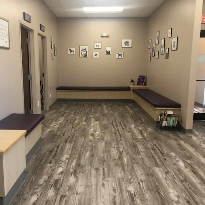 Grace Veterinary Center (formerly Nighthawk Veterinary Clinic) - Michael Wilson, DVM Picture 7