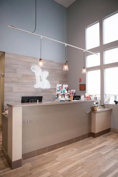 Morton Grove Animal Hospital Picture 7