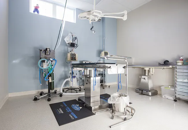 Morton Grove Animal Hospital Picture 5