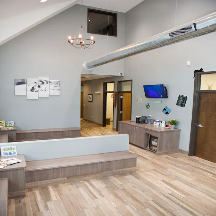 Morton Grove Animal Hospital Picture 10