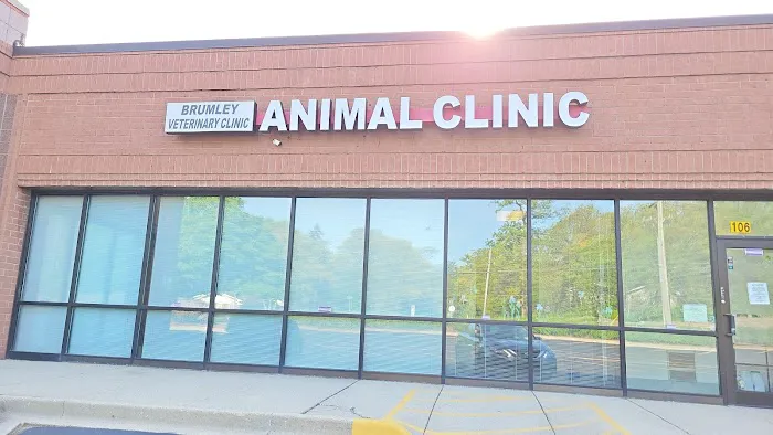 Brumley Veterinary Clinic PC Picture 1