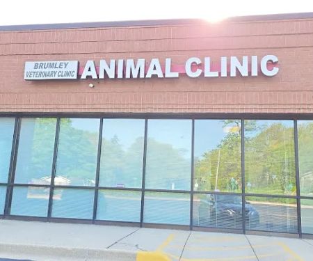 Brumley Veterinary Clinic PC