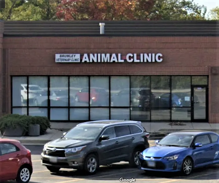 Brumley Veterinary Clinic PC Picture 6