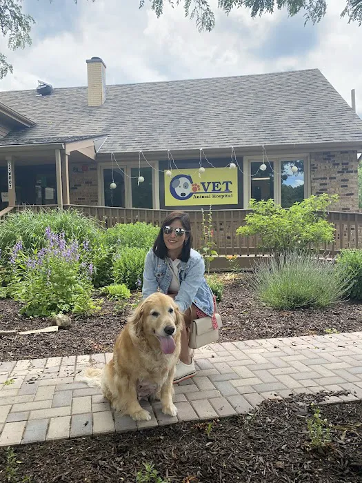 C-VET Animal Hospital Picture 7
