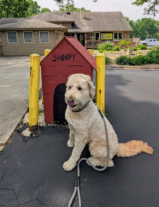 C-VET Animal Hospital Picture 4